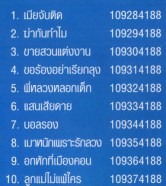 เอกชัย ศรีวิชัย - เมียจับติด VCD1448-web2